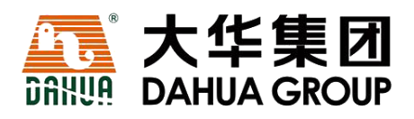 大华集团