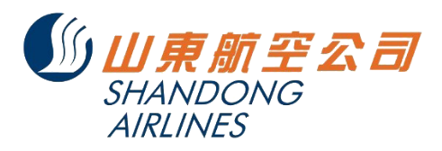 山东航空