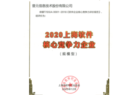 上海软件核心竞争力企业(规模型)