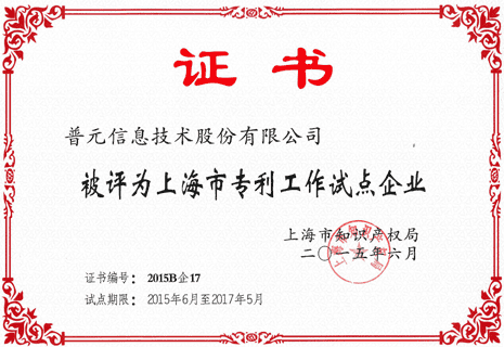 上海市专利工作试点企业