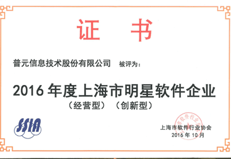 上海市明星软件企业（经营型创新型）