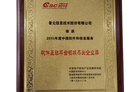 荣获2015年度中国软件和信息服务软件基础平台领域杰出企业奖